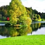 Avatar of Ammar Hussain